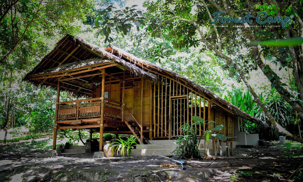 Forest Camp Resort Valencia  Zewnętrze zdjęcie